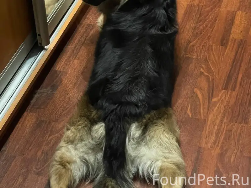 ❗️❗️❗️СРОЧНО❗️❗️❗️❗️❗️❗️❗️ПРОП...