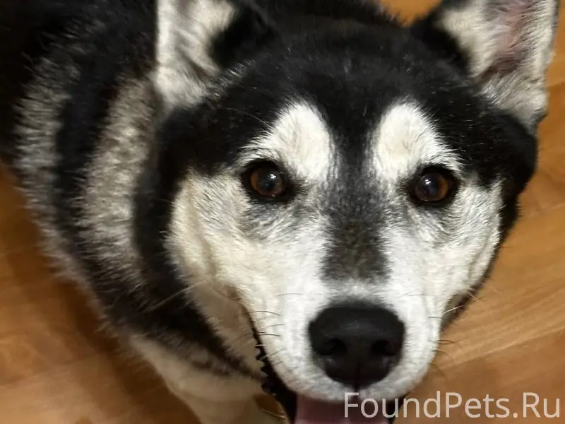 Друзья СРОЧНЫЙ репост пожалуйс...