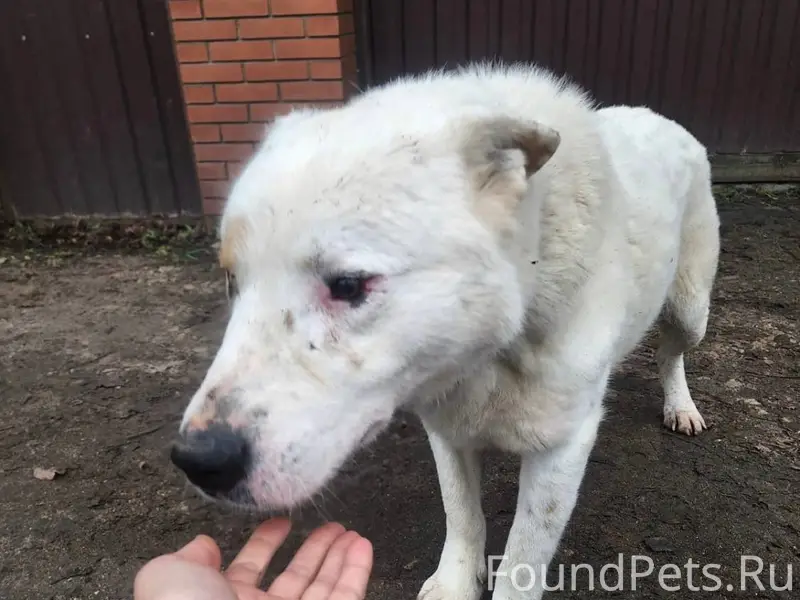 04.12.2025 в Звенигороде, окол...