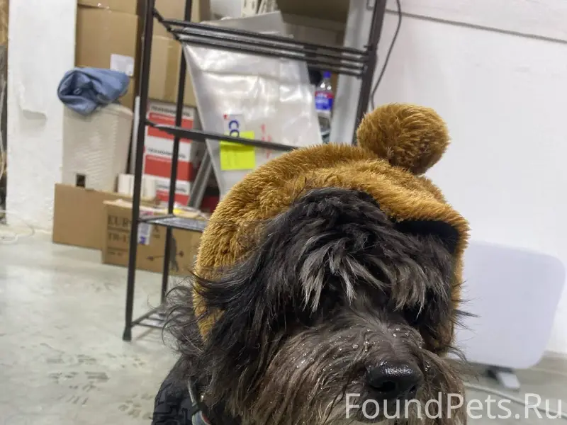 Внимание! Во втором микрорайон...