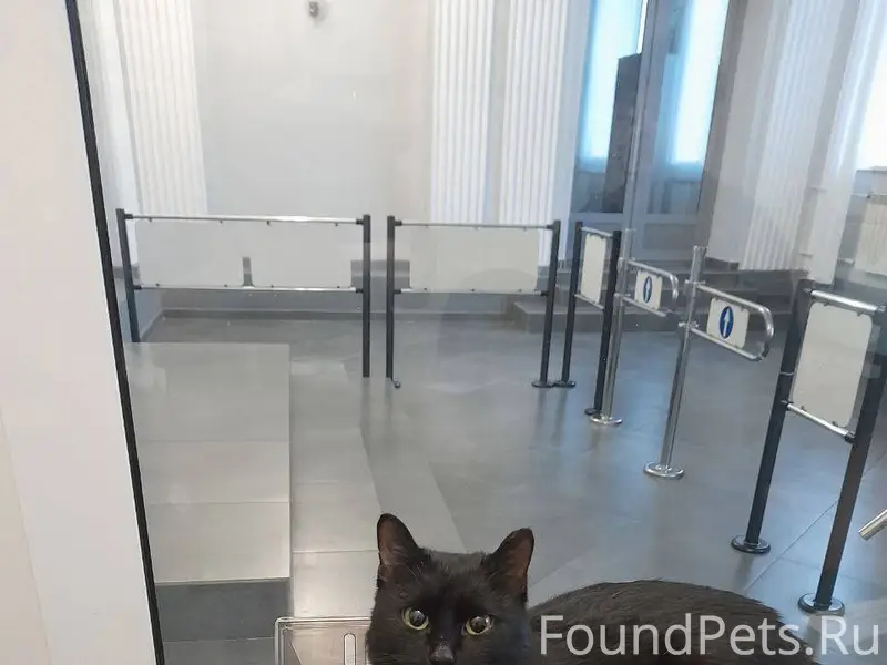 На улице Ленина дом 39 найден....