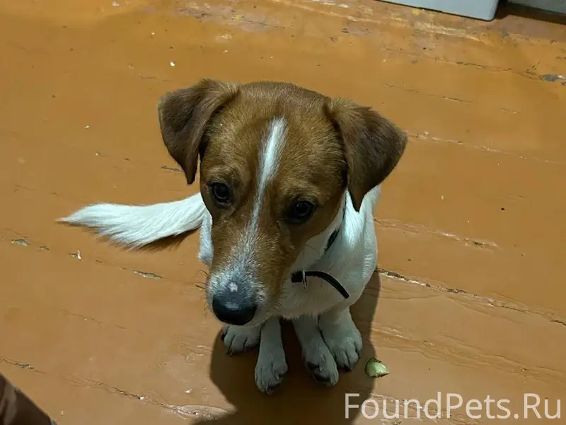 Здравствуйте, помогите найти С...