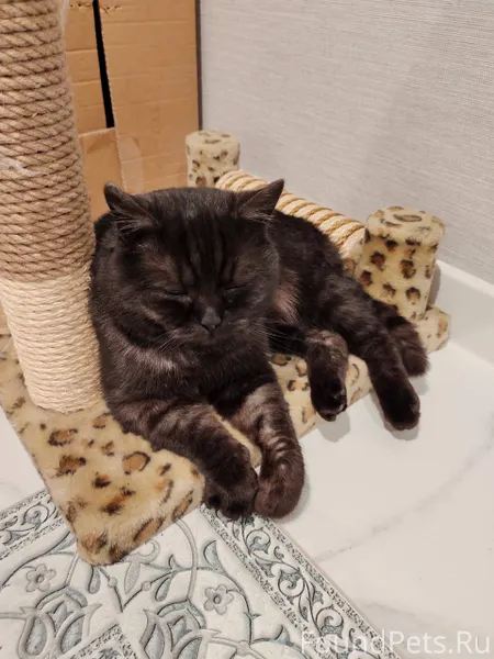 Не теряем надежды! В м.Лесозав...