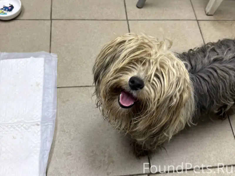 11.12.2025 10:41 Найдена...