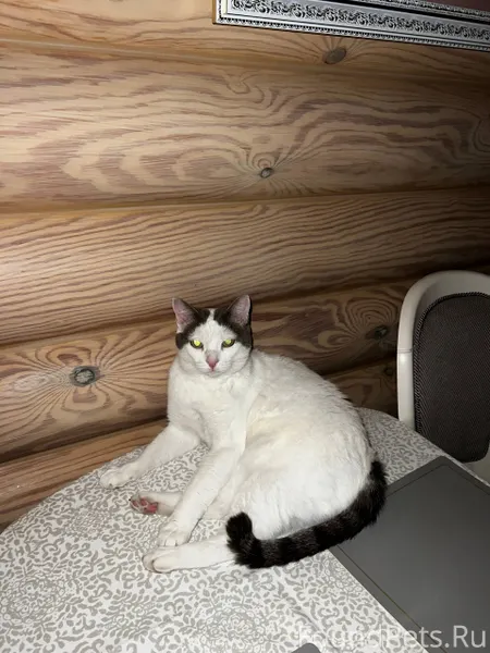 ❗️❗️❗️ в четверг 4 декабря про...