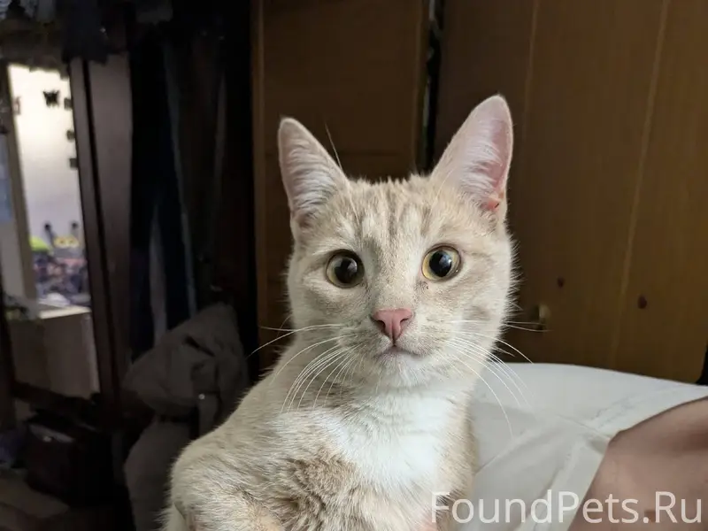 На пр.Дзержинского д.29 найден...