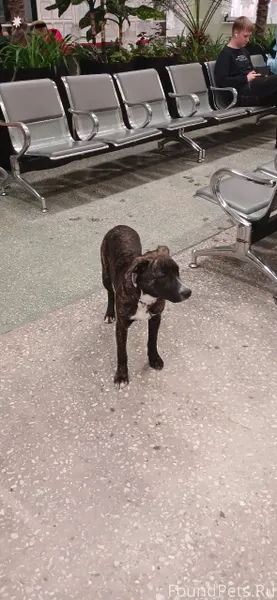 На первоуральском жд.вокзале б...