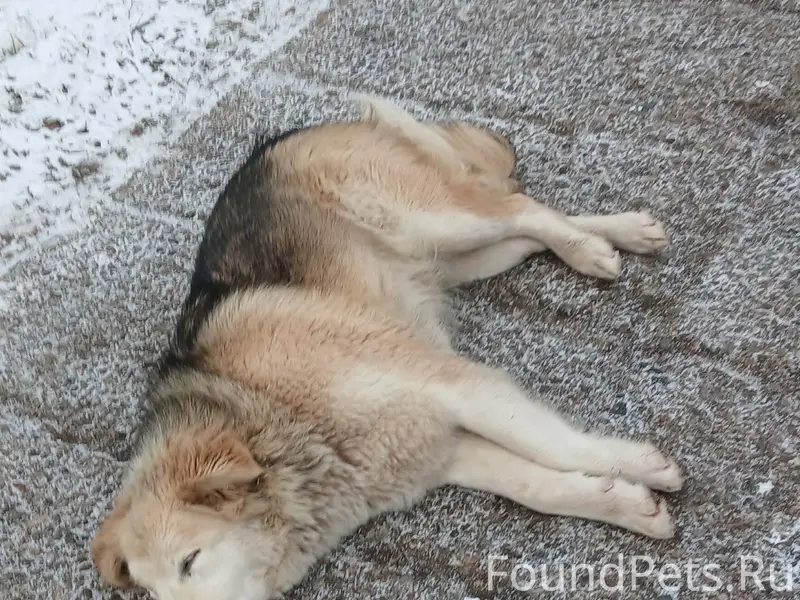 Добрый день, в д.Бор Бокситого...