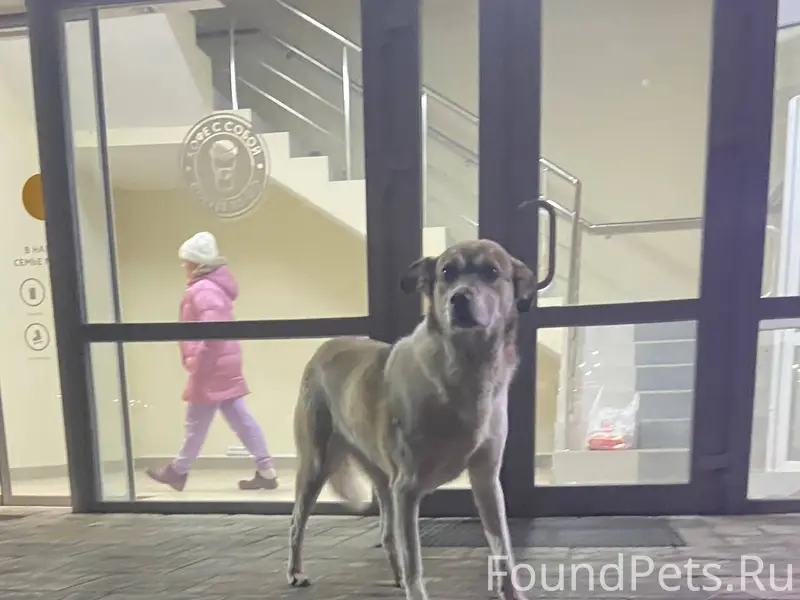 SOS! В Сафоново, Шоссейная с21...