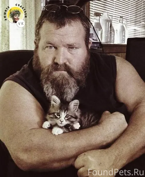 На заводе мужу подбросили котё...