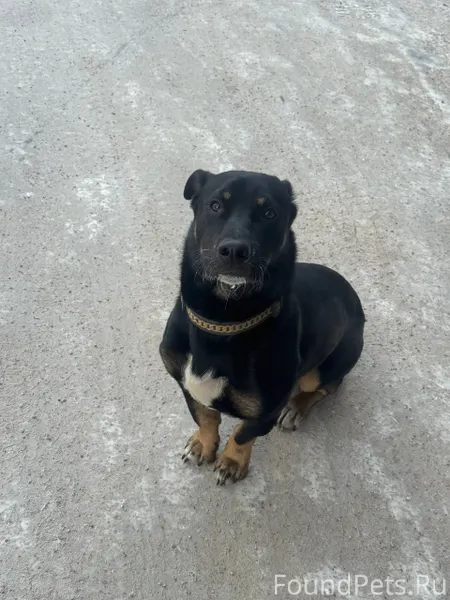 Здравствуйте!!!! Третий день б...