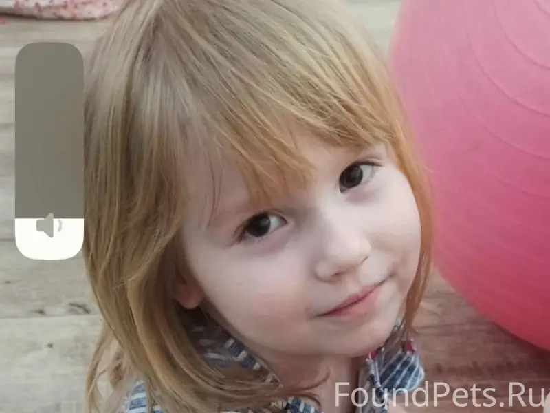 Пропал кот по кличке Зак! Прос...