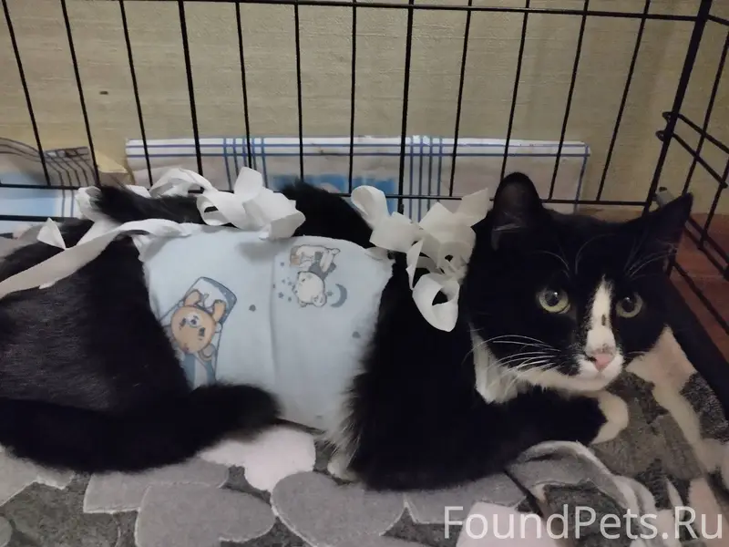 В Коряжме в районе стоматологи...