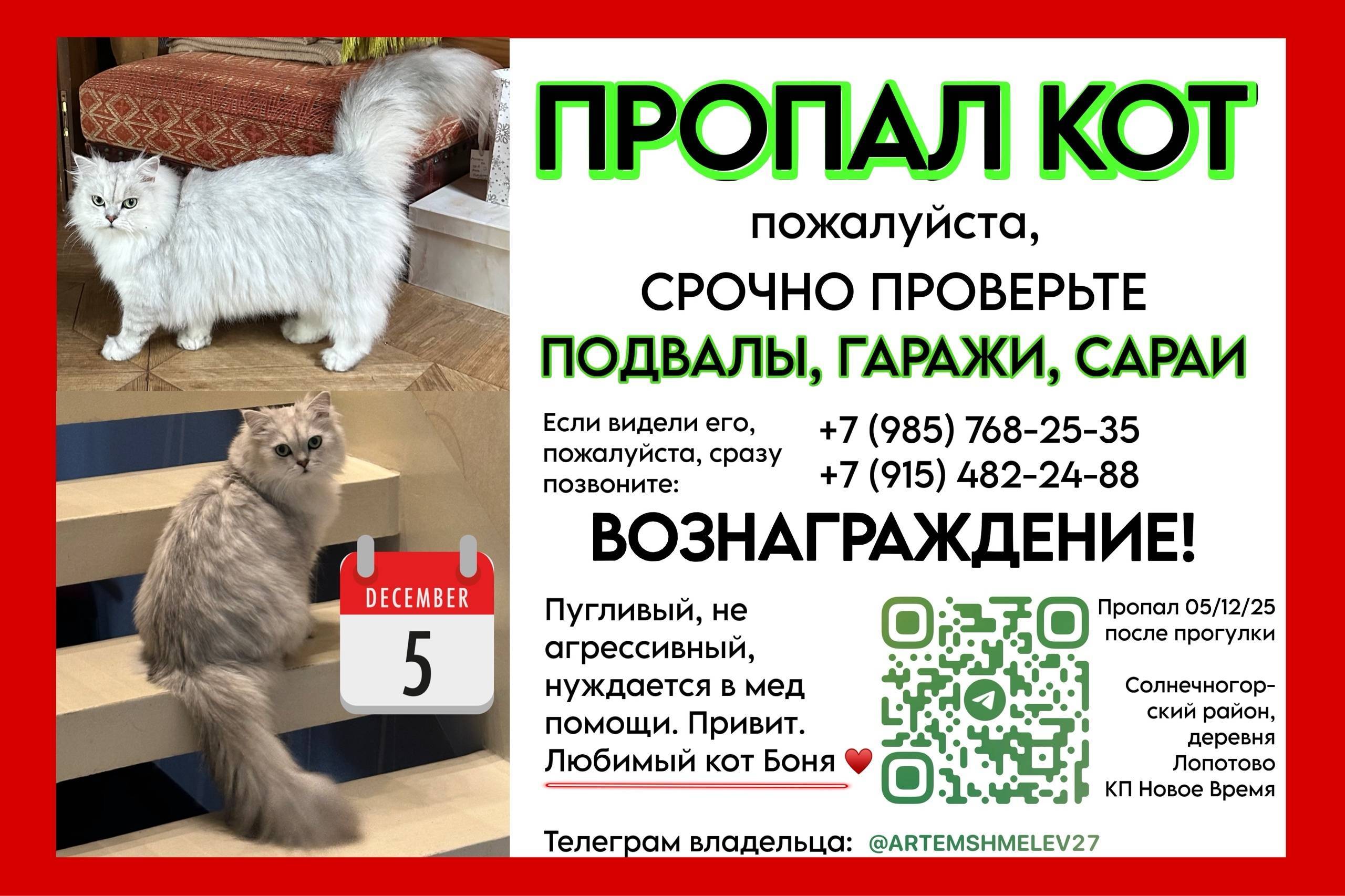 ⚠️ Пропал кот ГАРАЖИ, САРАИ, К...