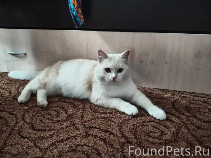 Курган!!! SOS!!!Помогаю информ...