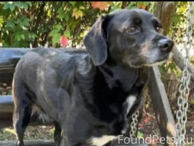 *ВОЗНАГРАЖДЕНИЕ 100 000 нашедш...