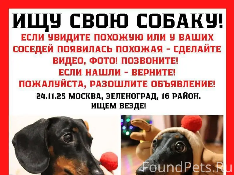 ПОИСКИ НЕССИ ПРОДОЛЖАЮТСЯ! СОБ...