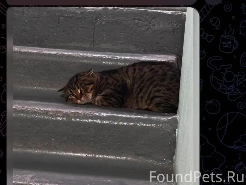 Здравствуйте , вчера забрали к...