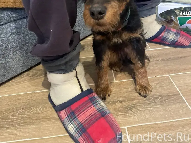 В деревне Ванакюля Кингисеппск...