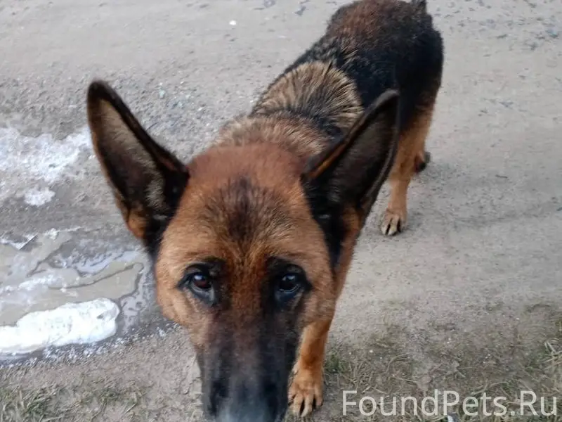 Добрый вер, 13.12.25 найдена.....