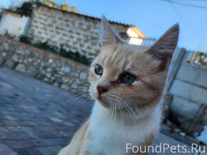 Всем доброго времени суток! Пр...