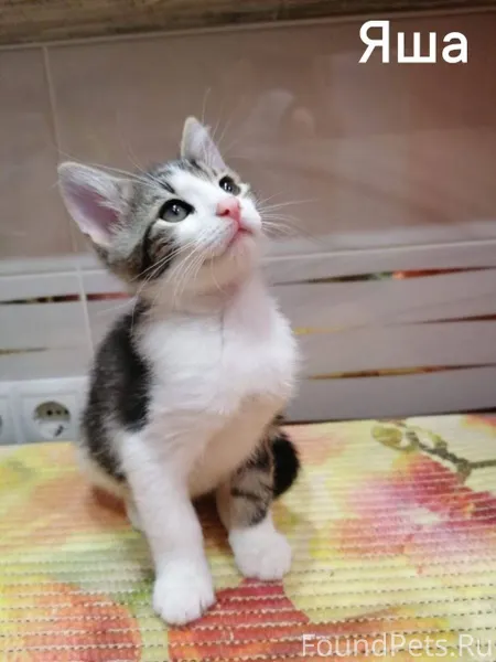 Дети дождались чуда, а теперь ...