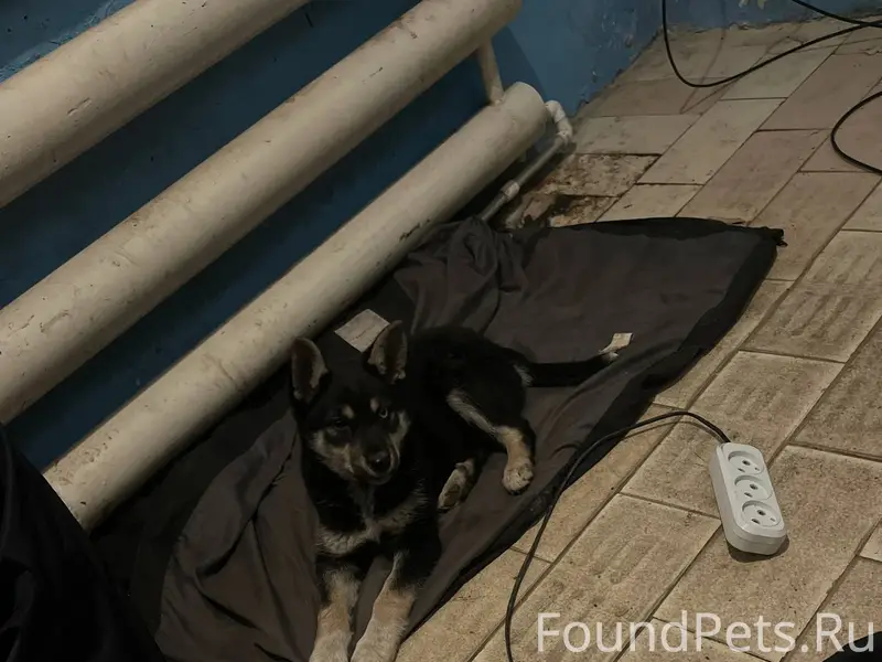 Здравствуйте! 🙏 Не останьтесь ...