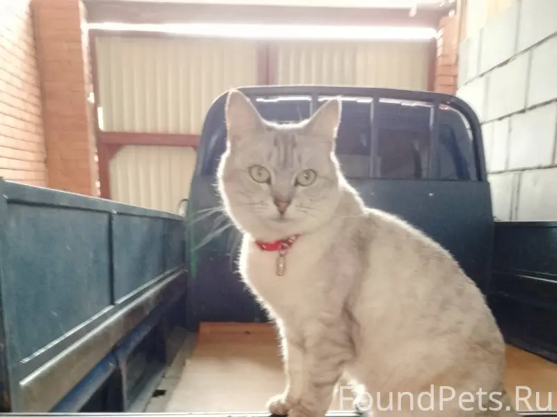 В районе улицы Октябрьской про...