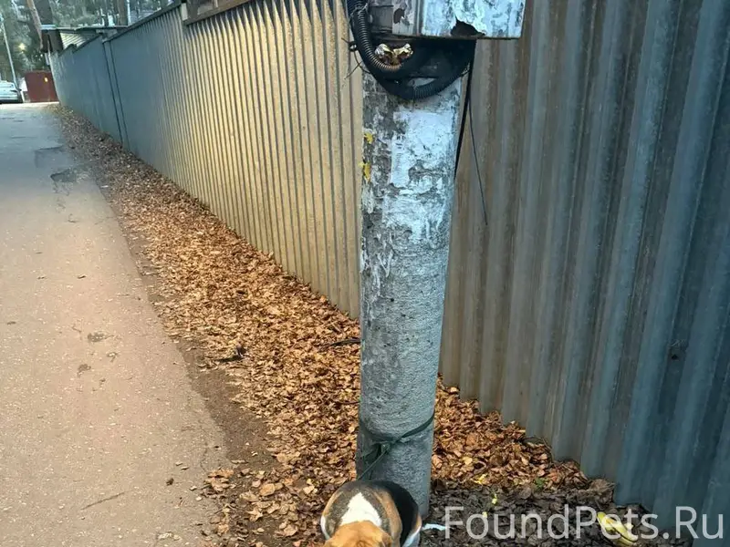 МО, Раменский район, посёлок У...