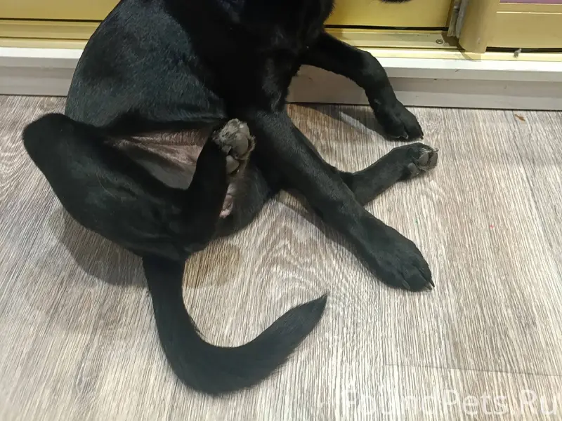 13 декабря в 6 00рано утром...