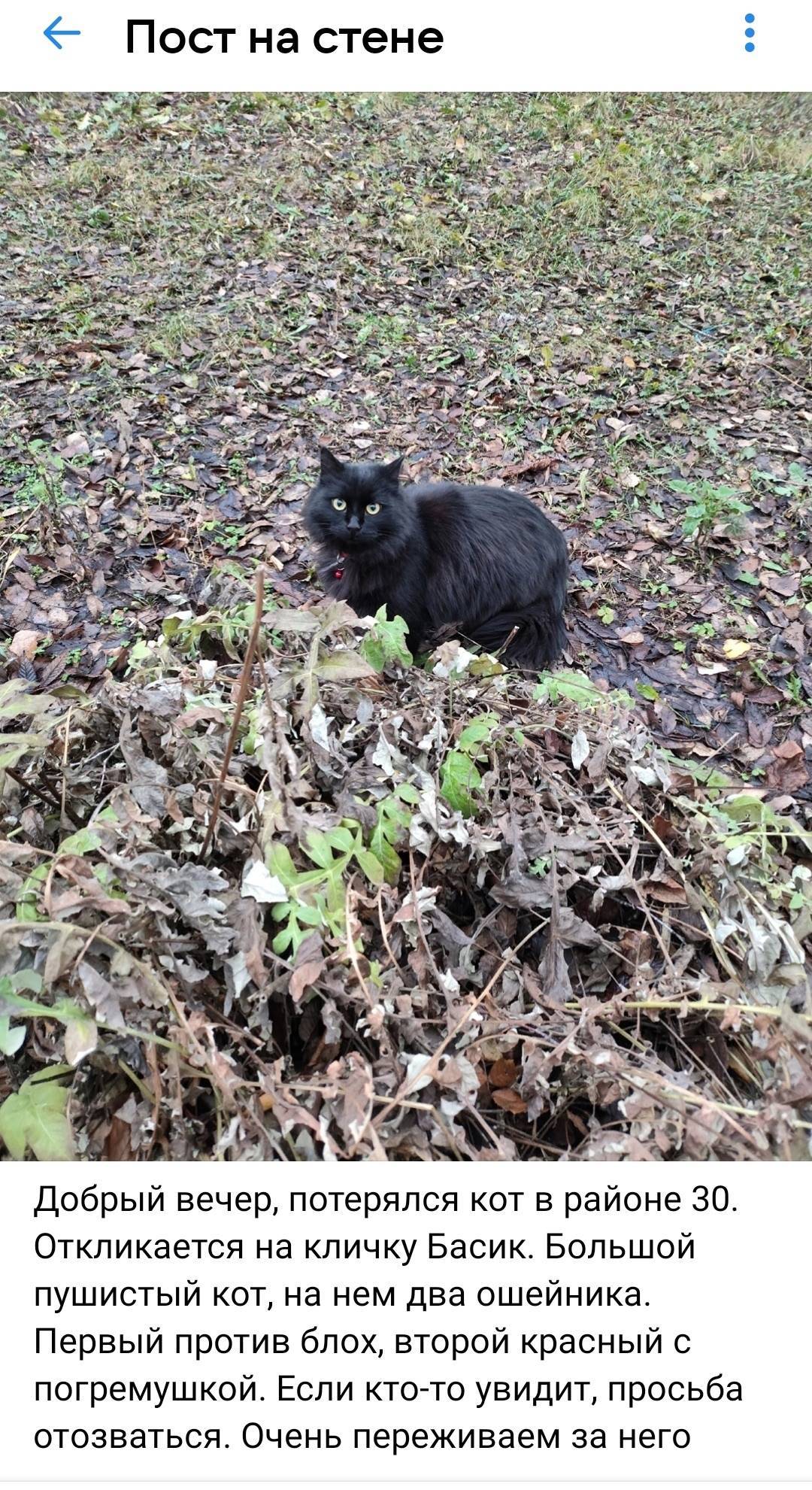 Пропал (убежал при транспортир...