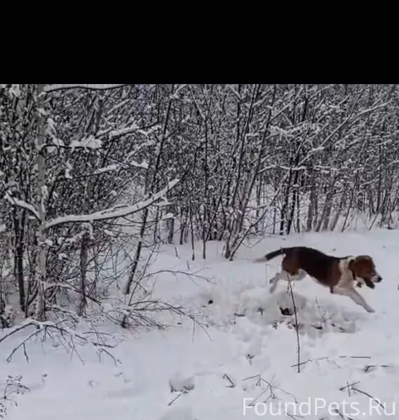 Вчера 22.12.2025 с. Красные...