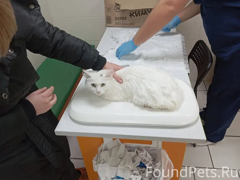 SOS!!! 12 декабря около 21:00....