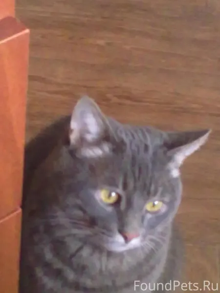 Сегодня ровно месяц, как тебя ...