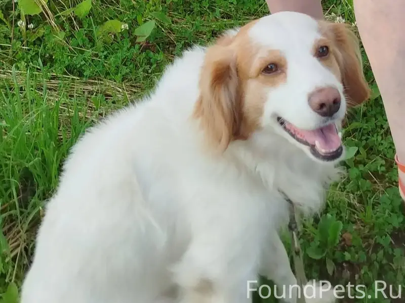 Друзья ..Здравствуйте!.Пропала...