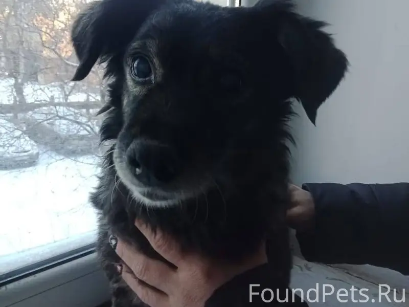 В районе бывшей наркологии (Га...