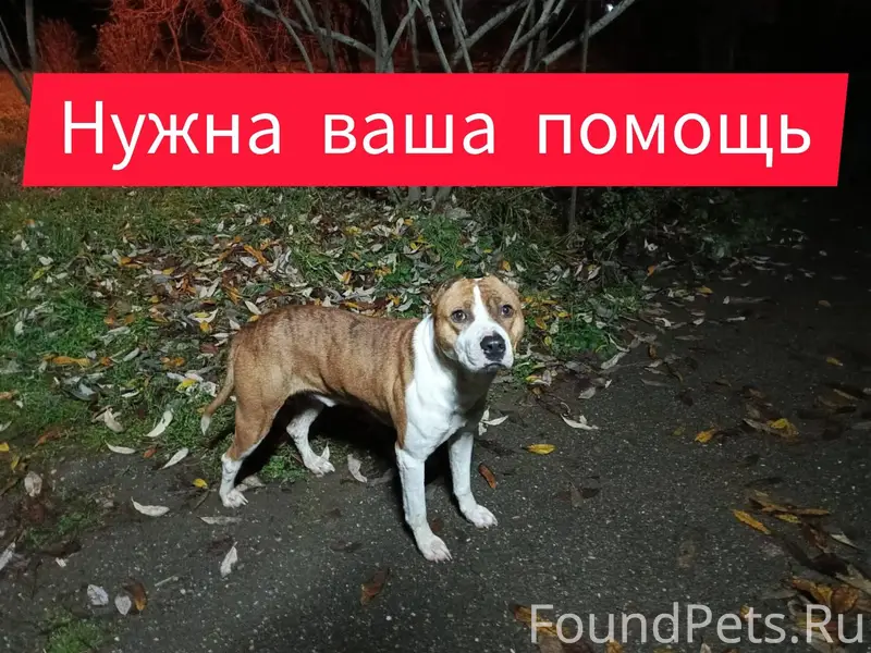 Будëнновск💥💥💥Обращаюсь к вам з...