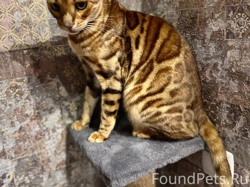 В субботу 13 декабря, в 16...