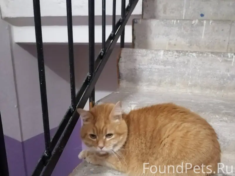 Добрый вечер. В подъезд, по ул...