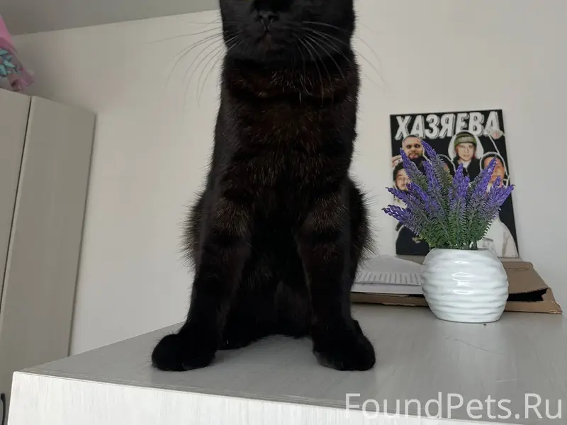 Большая просьба, если кто-то в...