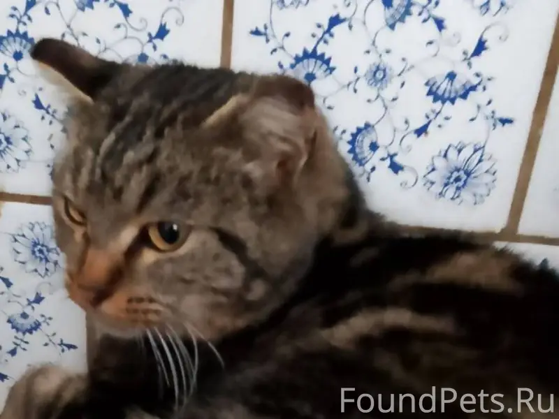 Присмотритесь,пожалуйста !!! М...