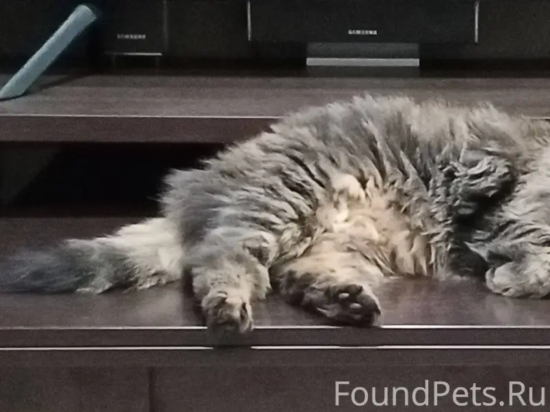 Здравствуйте, у меня пропал ко...