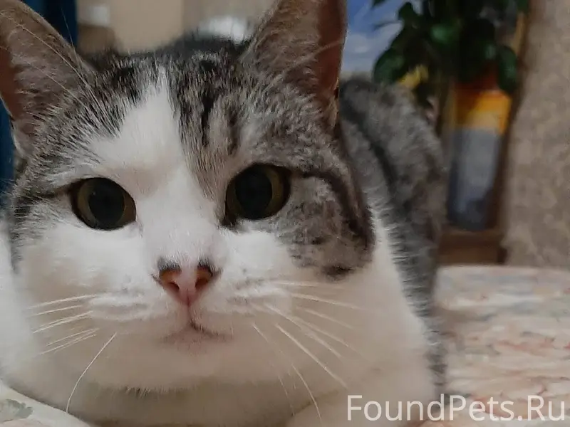 Район мойки Жемчужина. 09.12.2...