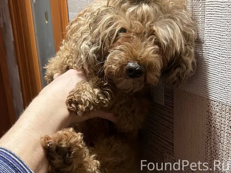 В 12-м. мкр-не в...