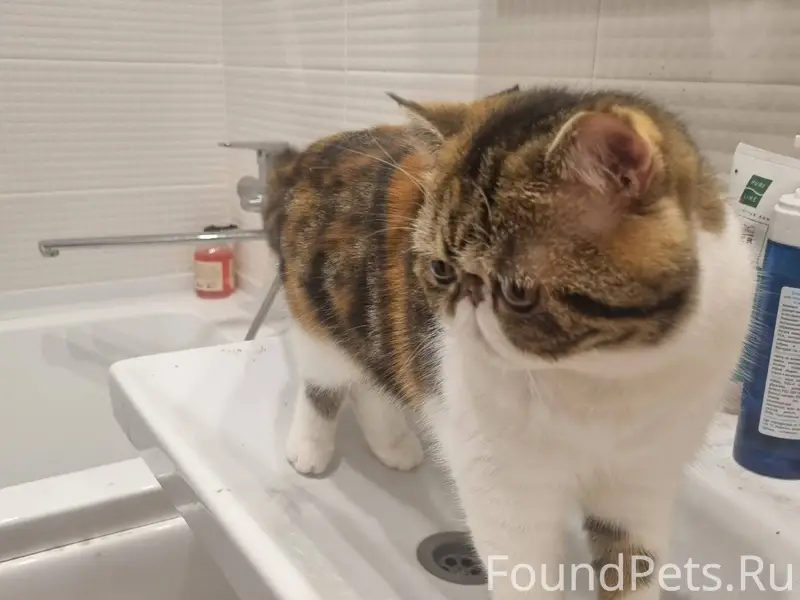 5.12 на Ленинградской пропала ...