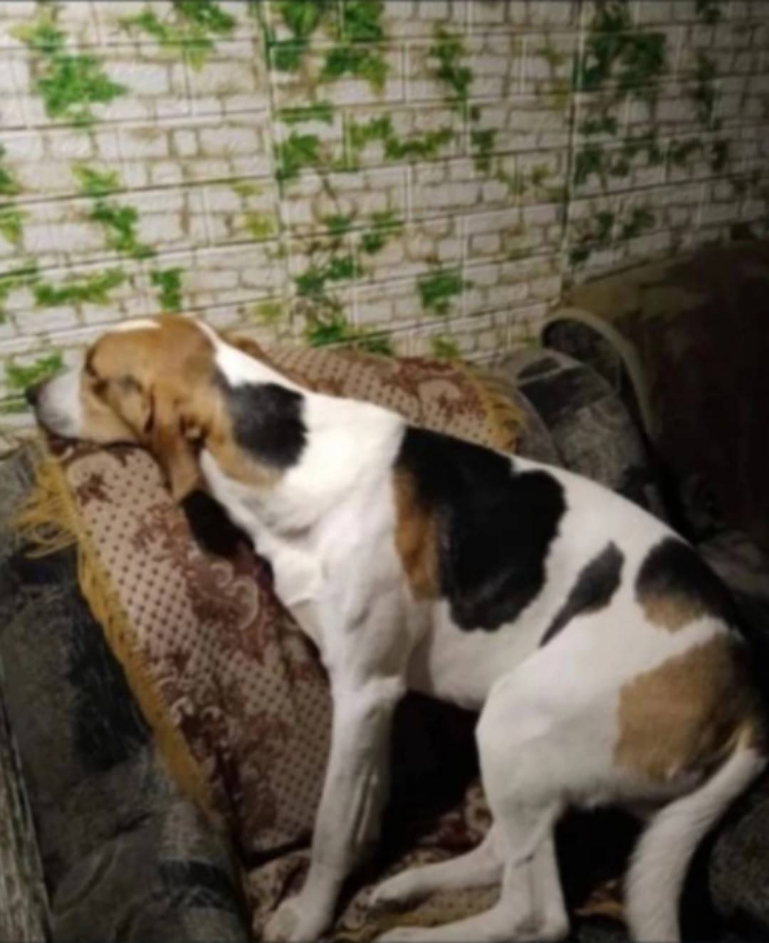 Здравствуйте,помогите пожалуйс...