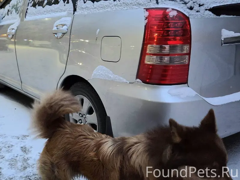 В Абакане на Щетинкина между д...
