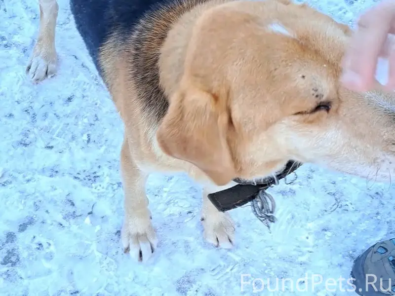 Семенов!! Кто-то может сказать...