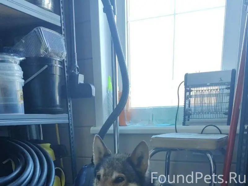 Богородский район. Помогаю инф...