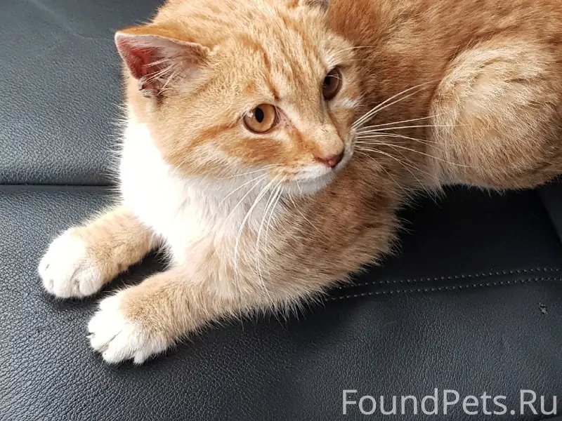 На ул. Лесокомбинатская, рядом...